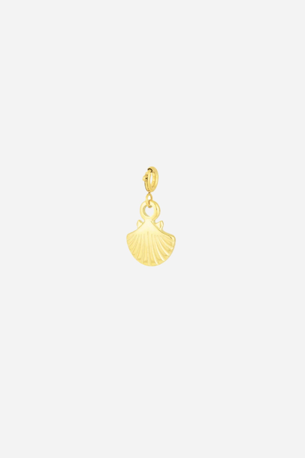 Shell charm