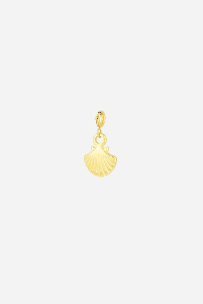 Shell charm