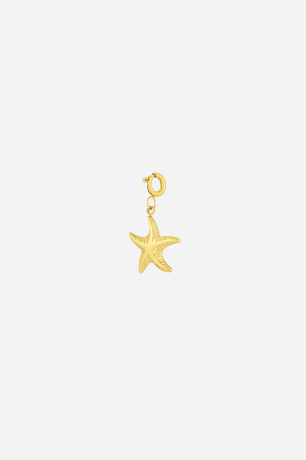 Beach Star charm