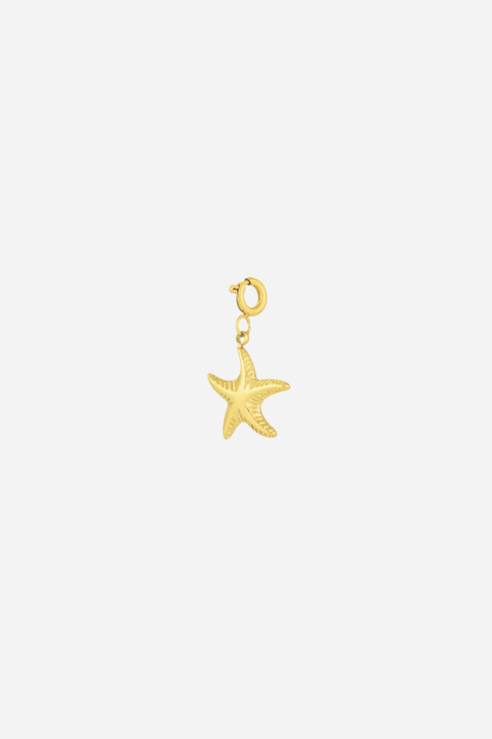Beach Star charm