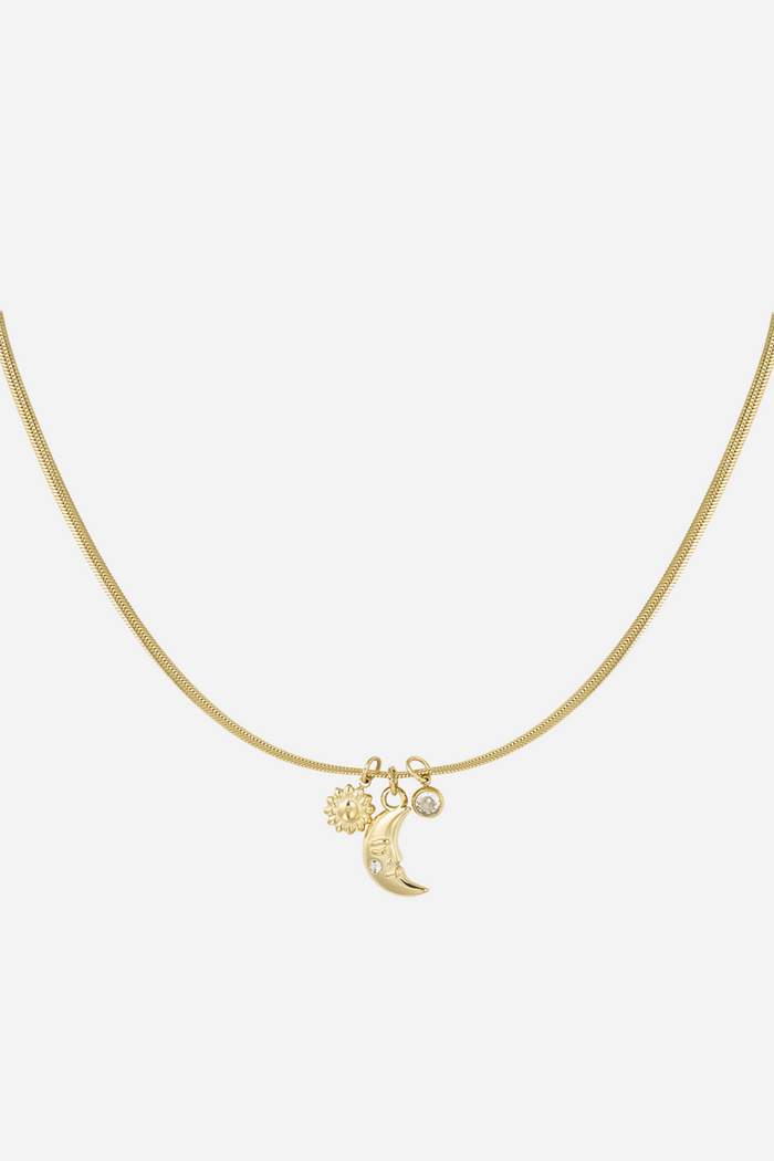 Crescent Moon Charm ketting